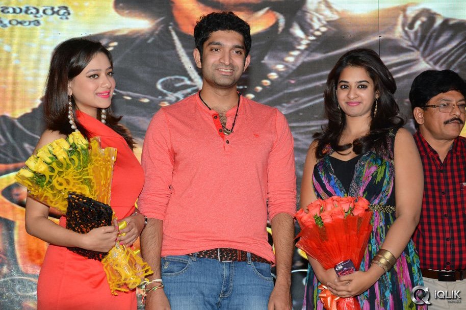 Ram-Leela-Movie-Platinum-Disc-Function